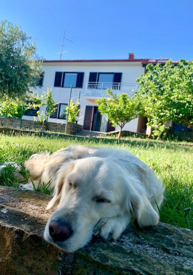 Olea Mar Apartma Pobegi Buitenkant foto